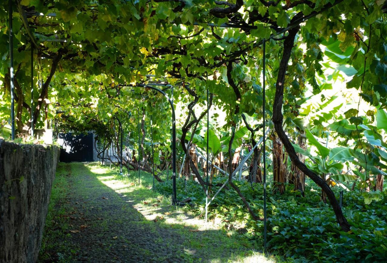 Ourmadeira - Casa Do Feitor, Secluded Apartment *