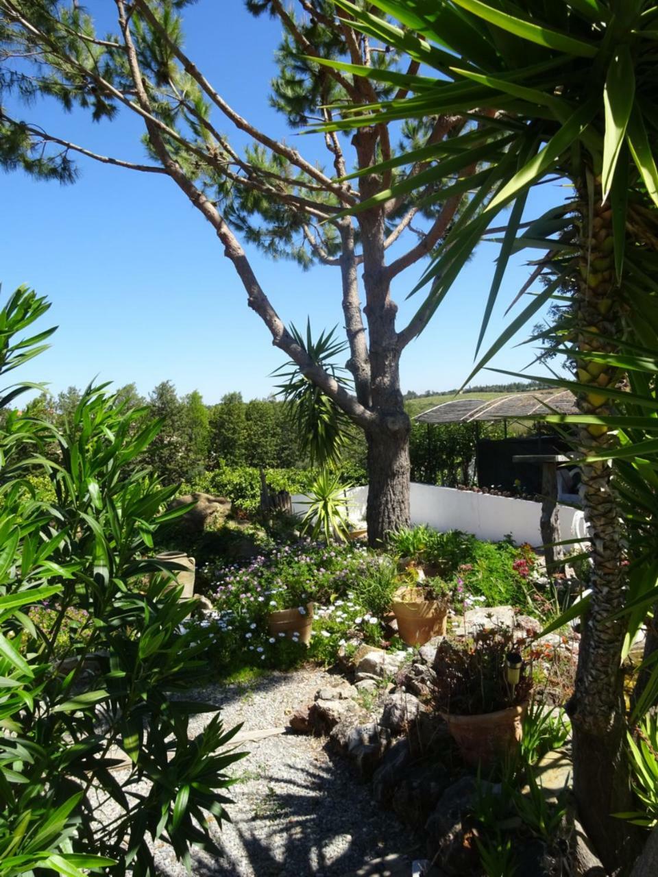 Casa Vale Del Rei Guest house