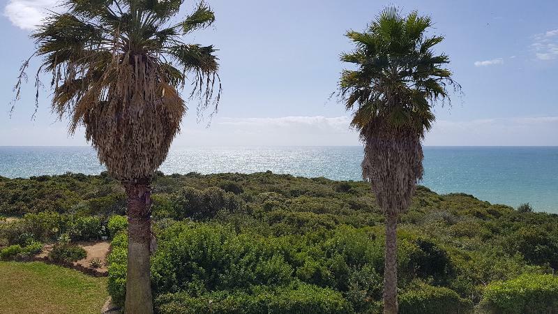 Hotel Pestana Palm Gardens