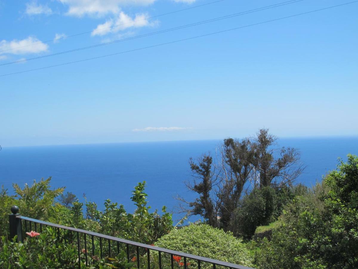 Blooming Botanic Holiday home Estreito Da Calheta