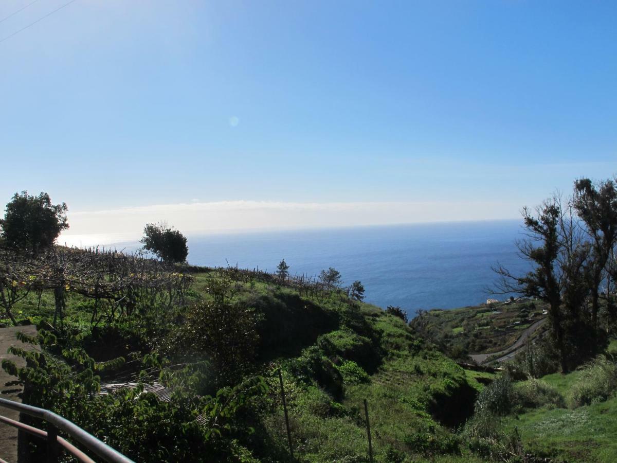 Blooming Botanic Estreito Da Calheta