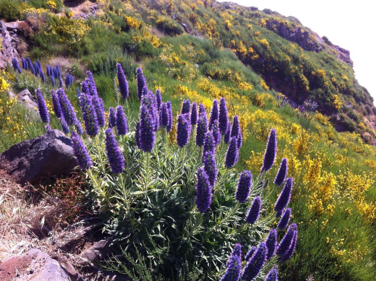 Blooming Botanic Estreito Da Calheta