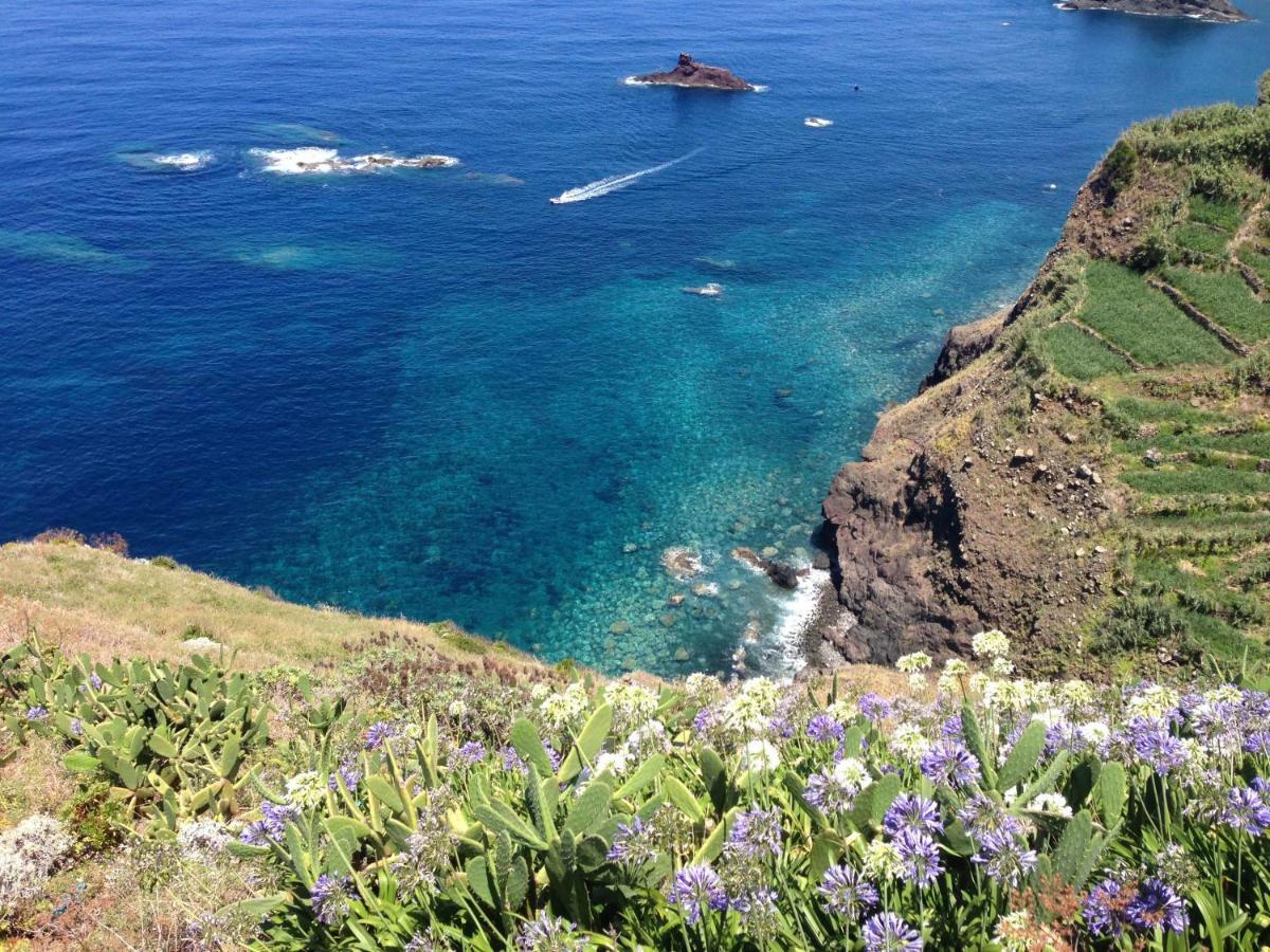 Blooming Botanic * Estreito Da Calheta