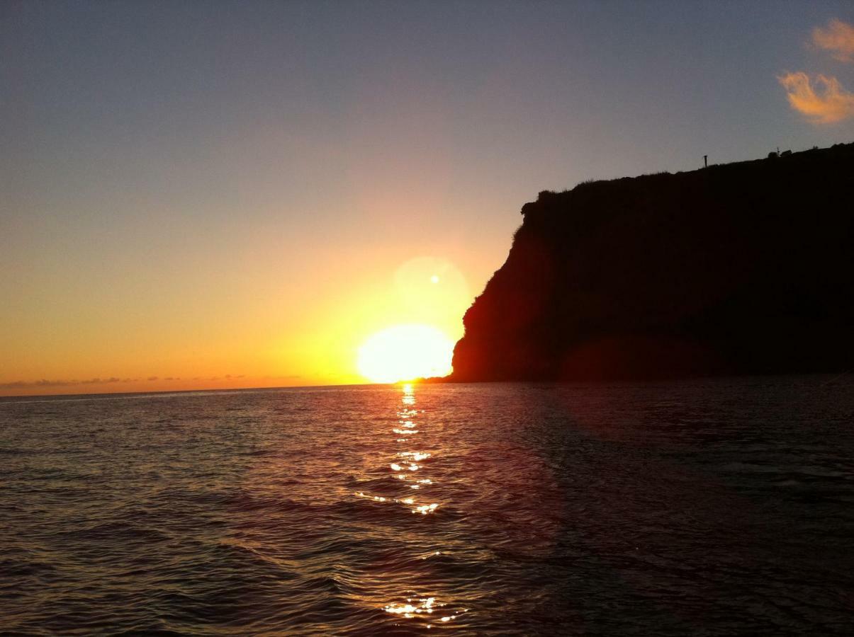 Blooming Botanic Holiday home Estreito Da Calheta