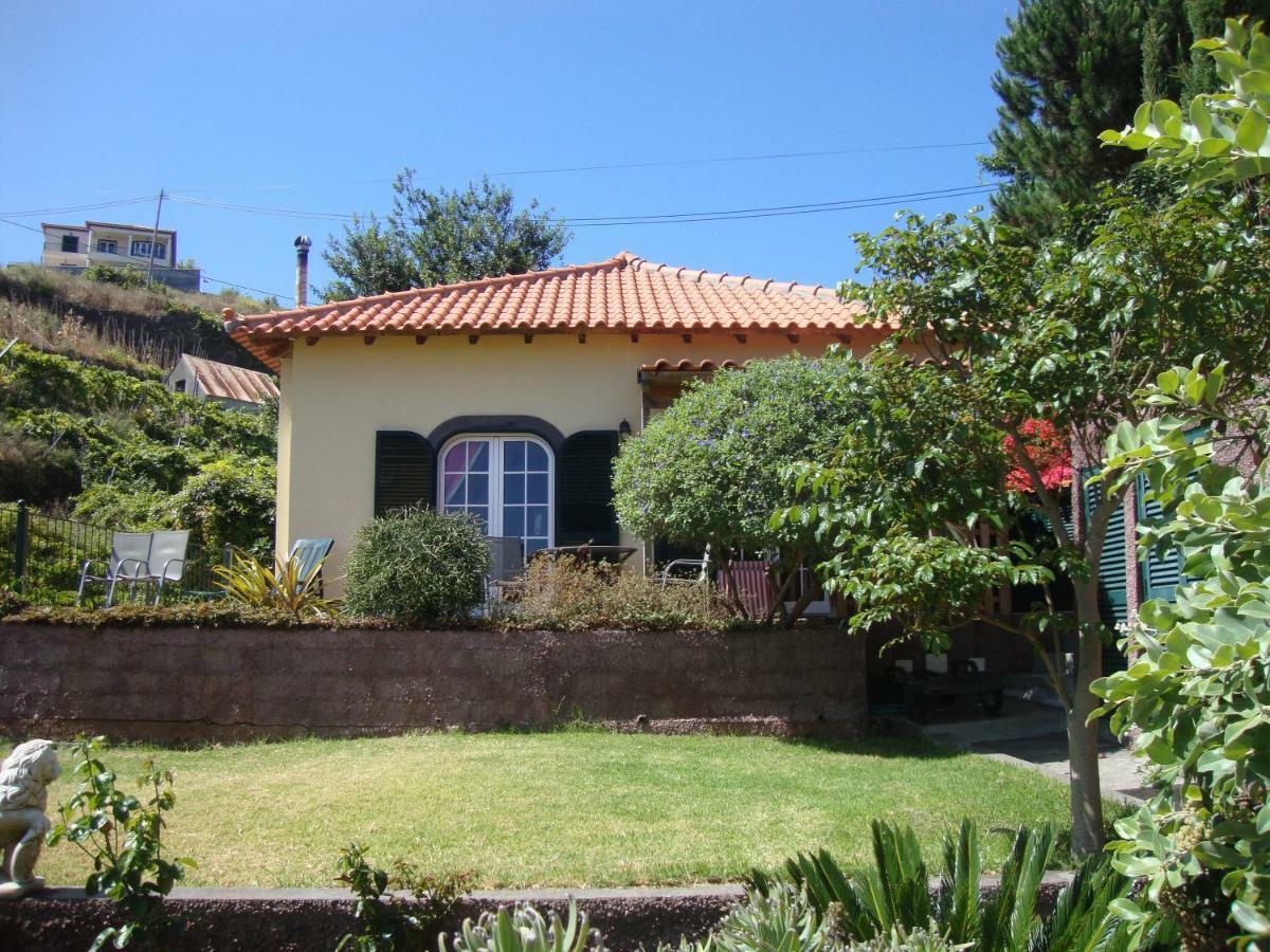 Blooming Botanic * Estreito Da Calheta