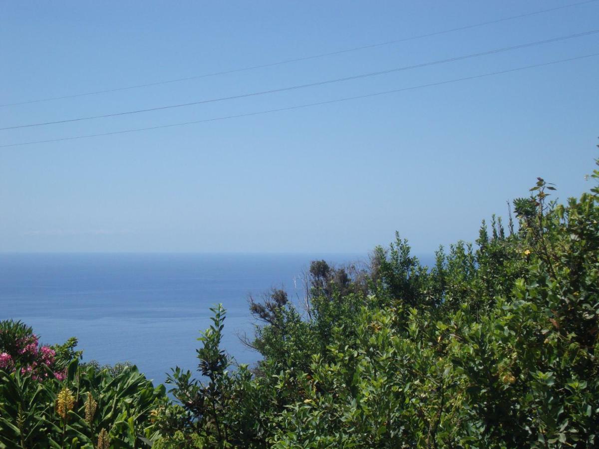 Blooming Botanic Holiday home Estreito Da Calheta