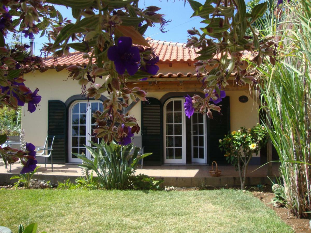 Blooming Botanic * Estreito Da Calheta
