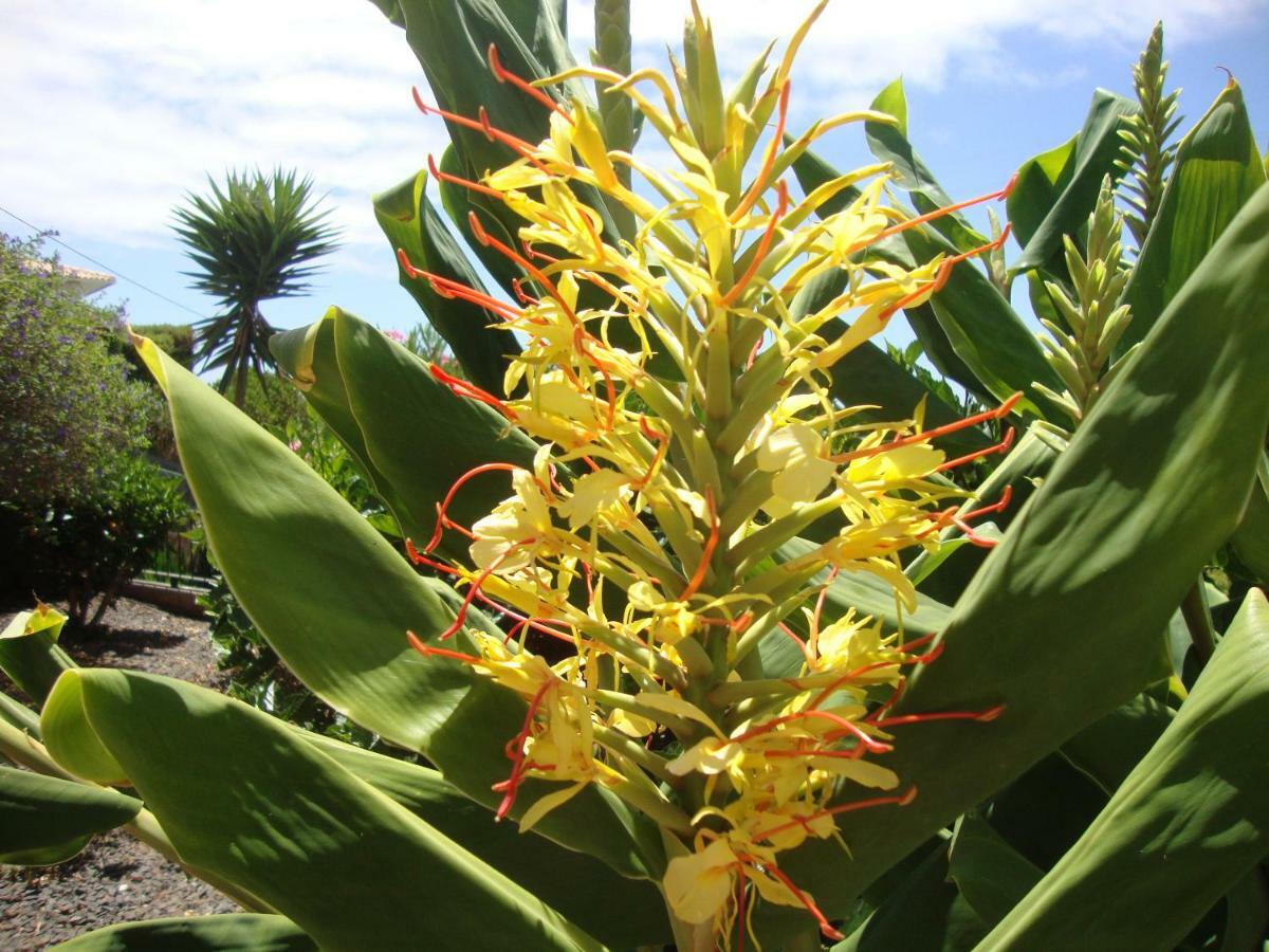 Blooming Botanic