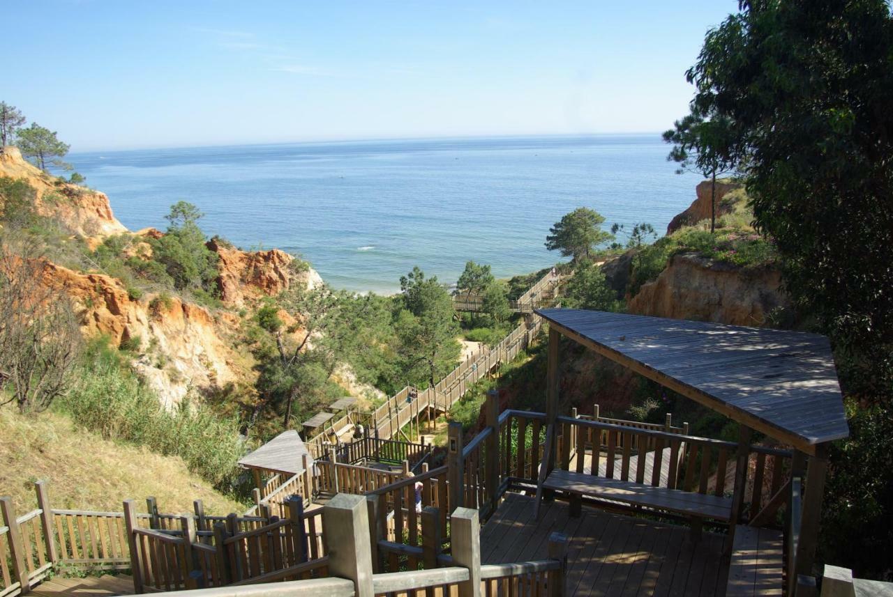 With 2 Bedrooms B Apartment *