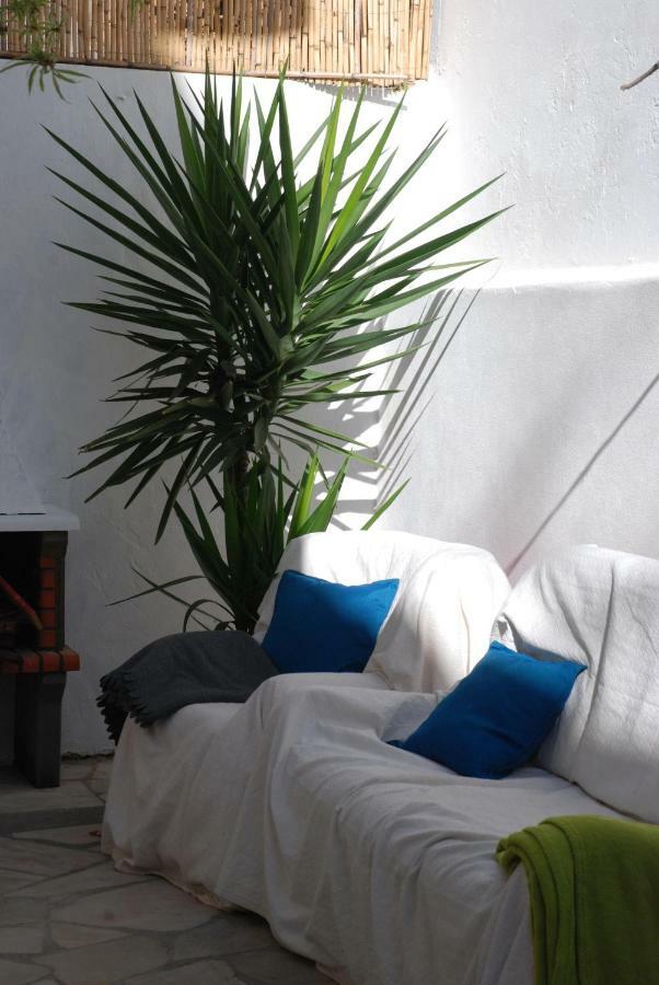 Olive Hostel *