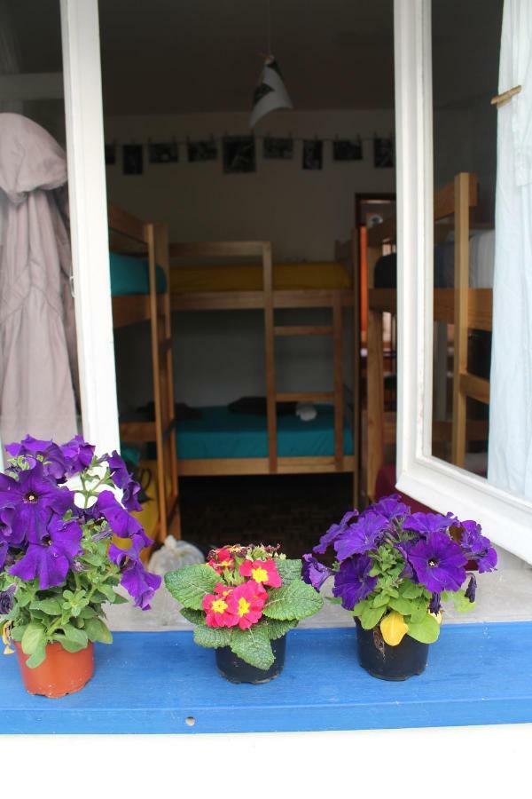 Hostel Olive *