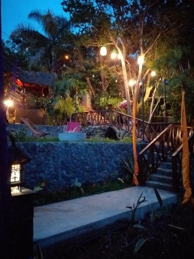 Dazk Golden Estate Guest house Ribeira Brava