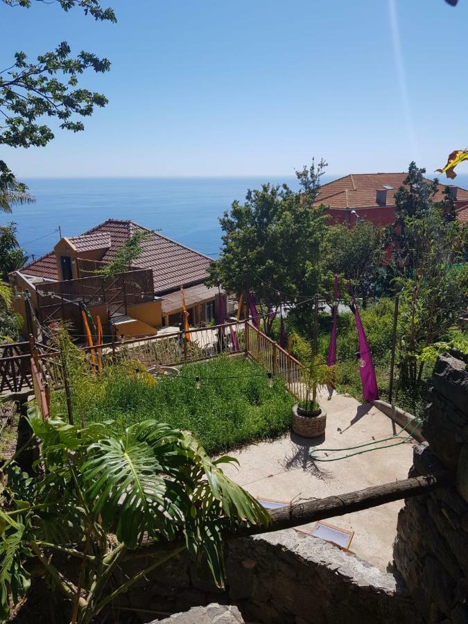 Dazk Golden Estate Guest house *