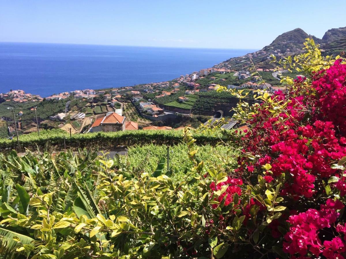 Afonso * Camara de Lobos
