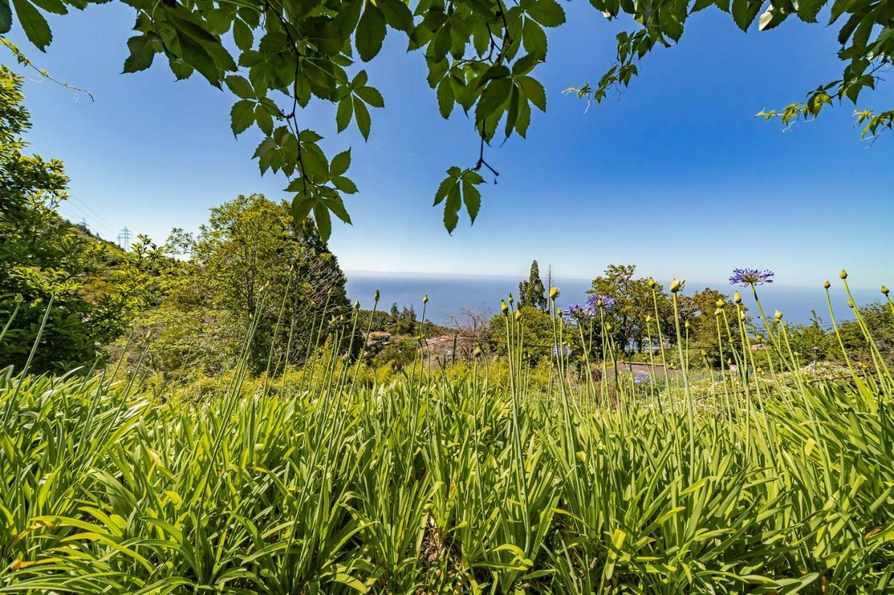 Farm stay Quinta Devonia