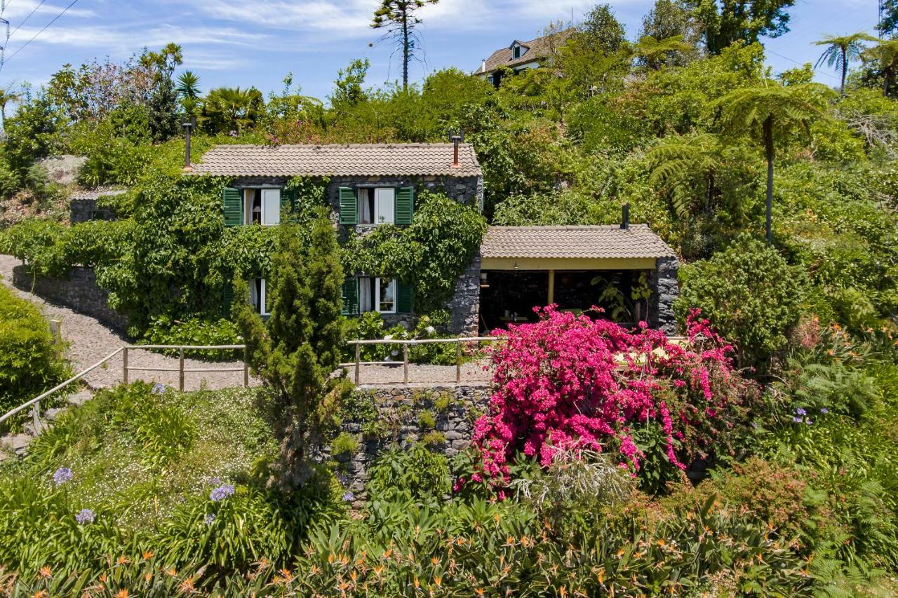 Quinta Devonia *