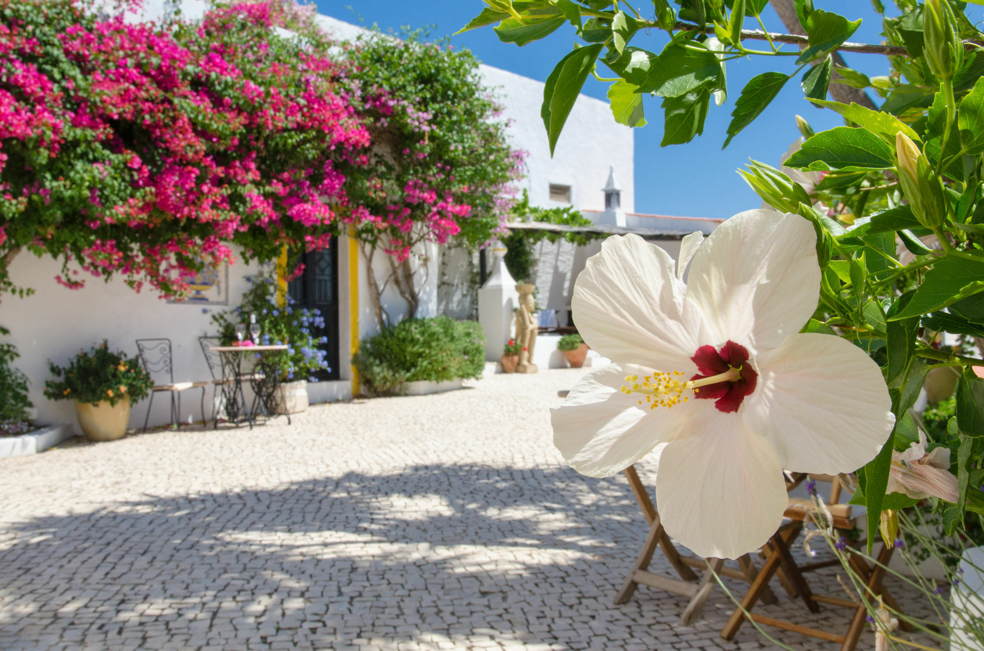 Guest house Rio Arade Algarve Manor House