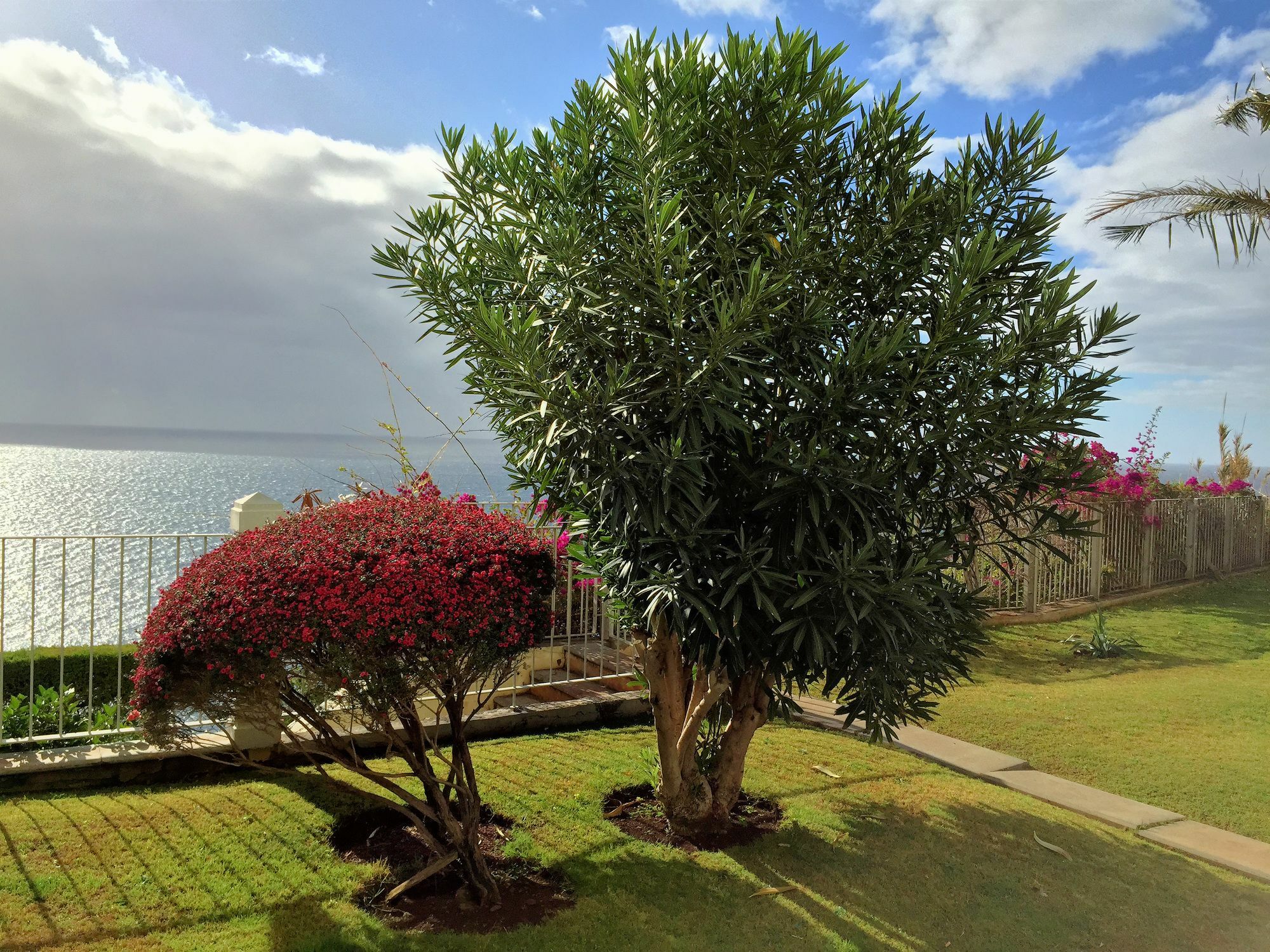 Finest Rentals - Beachfront Penthouse Funchal (Madeira)