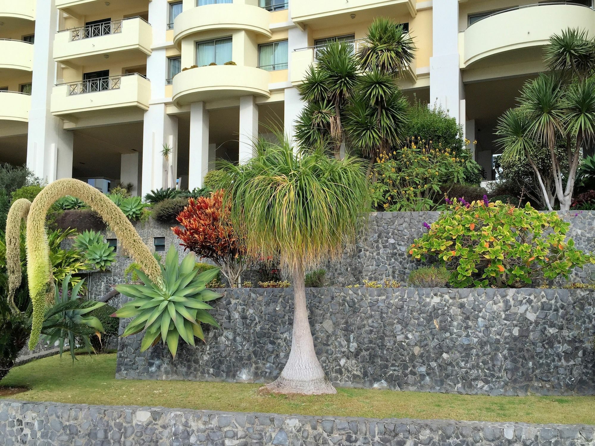 Apartment Finest Rentals - Beachfront Penthouse *