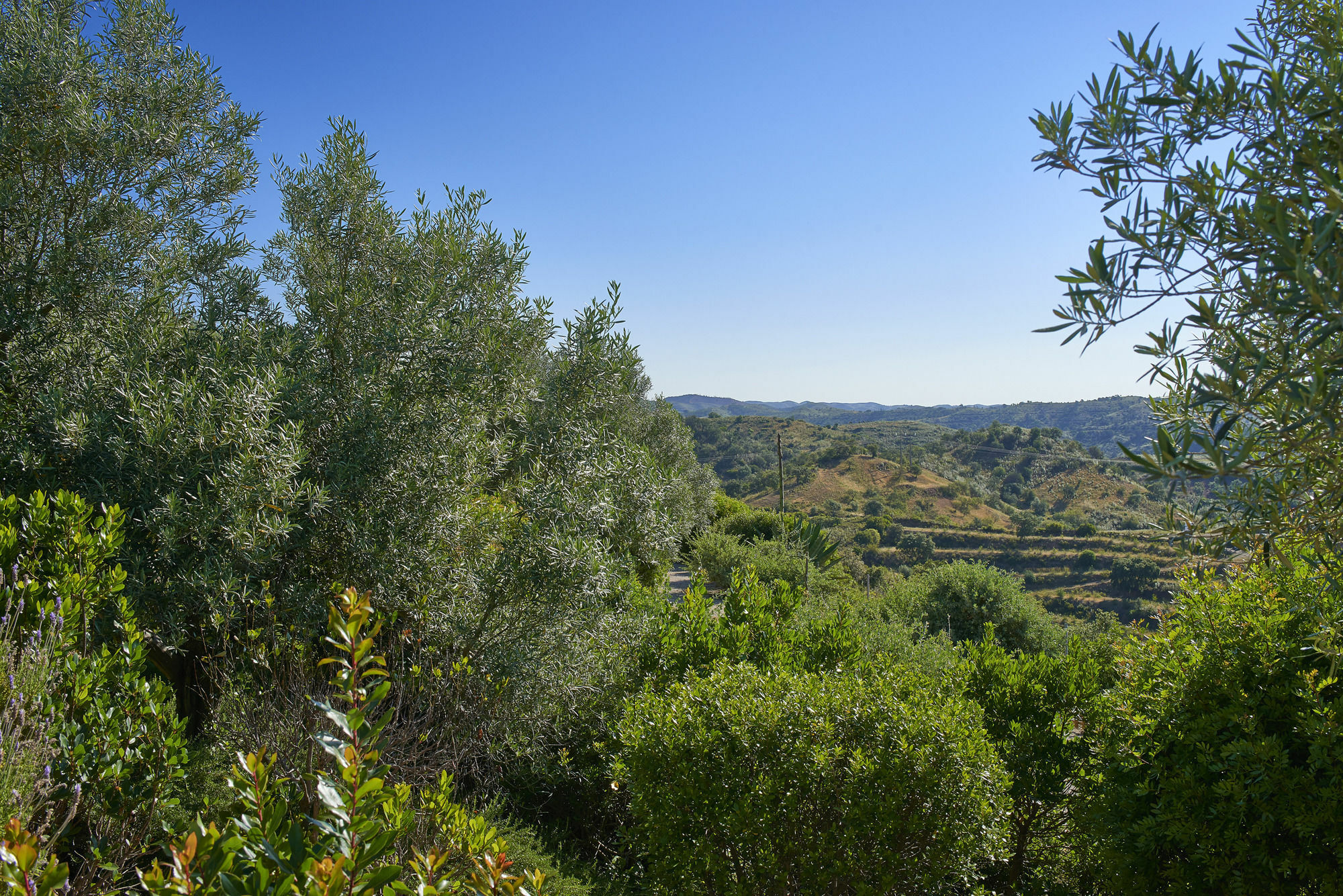 Rural Quinta Do Marco - Nature & Dining 4*
