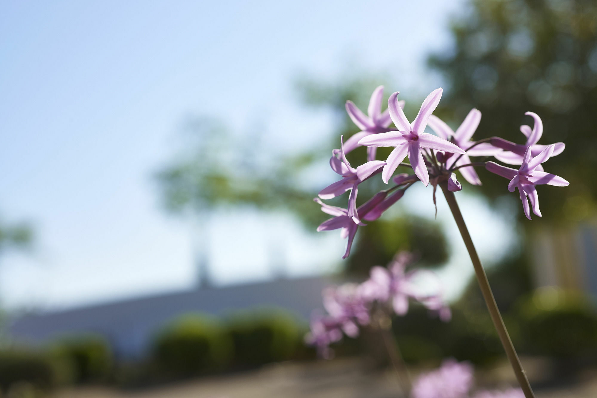 Rural Quinta Do Marco - Nature & Dining 4*