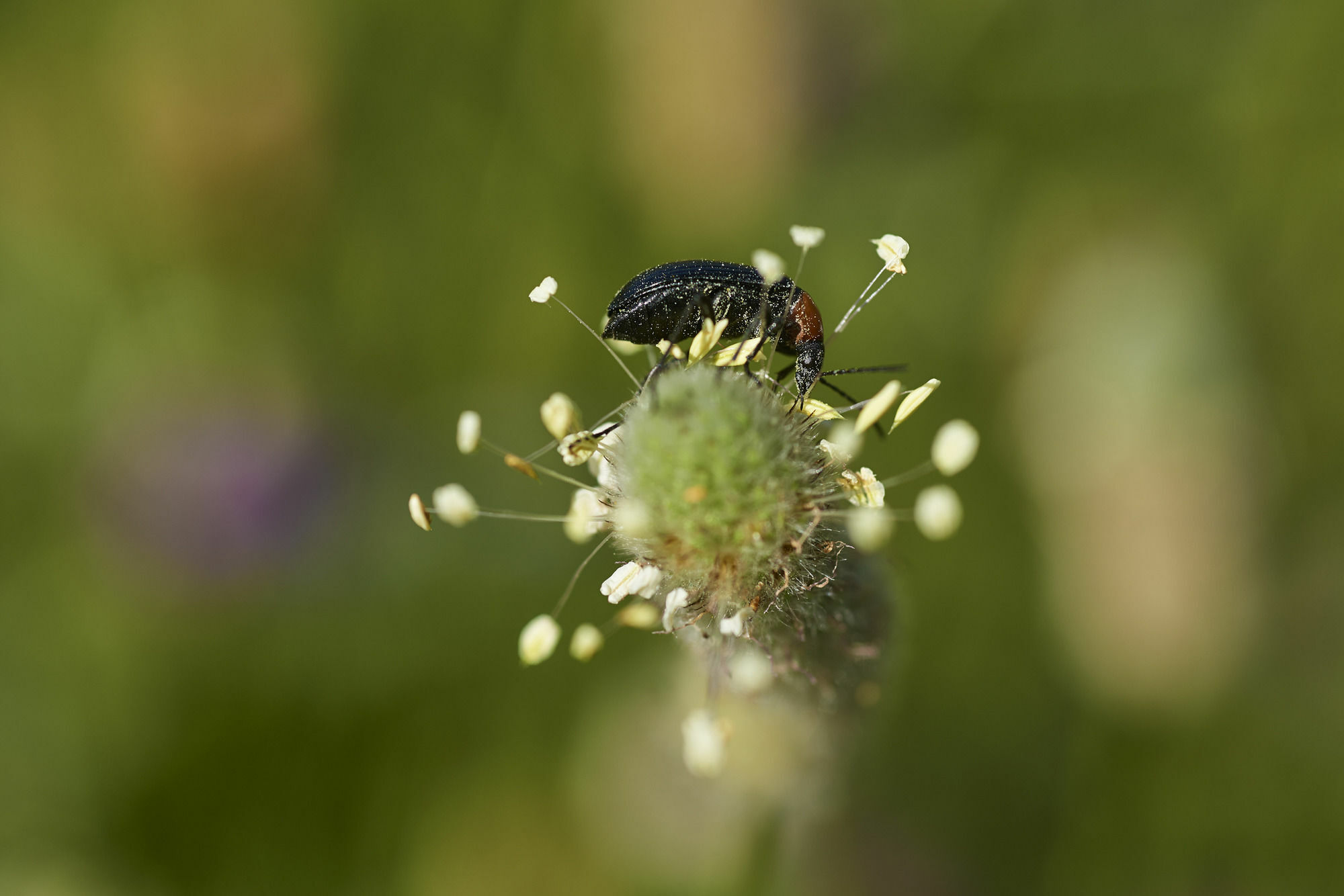 Rural Quinta Do Marco - Nature & Dining