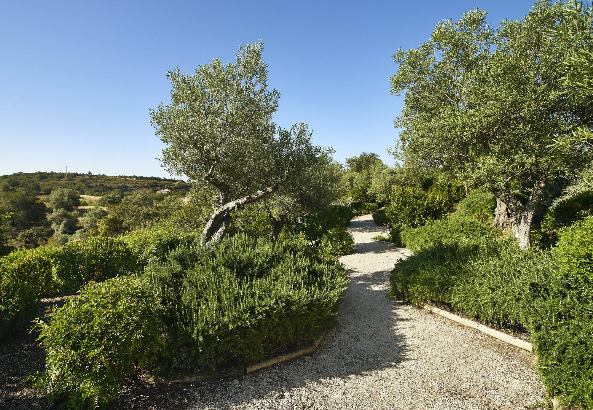 Hotel Rural Quinta Do Marco - Nature & Dining