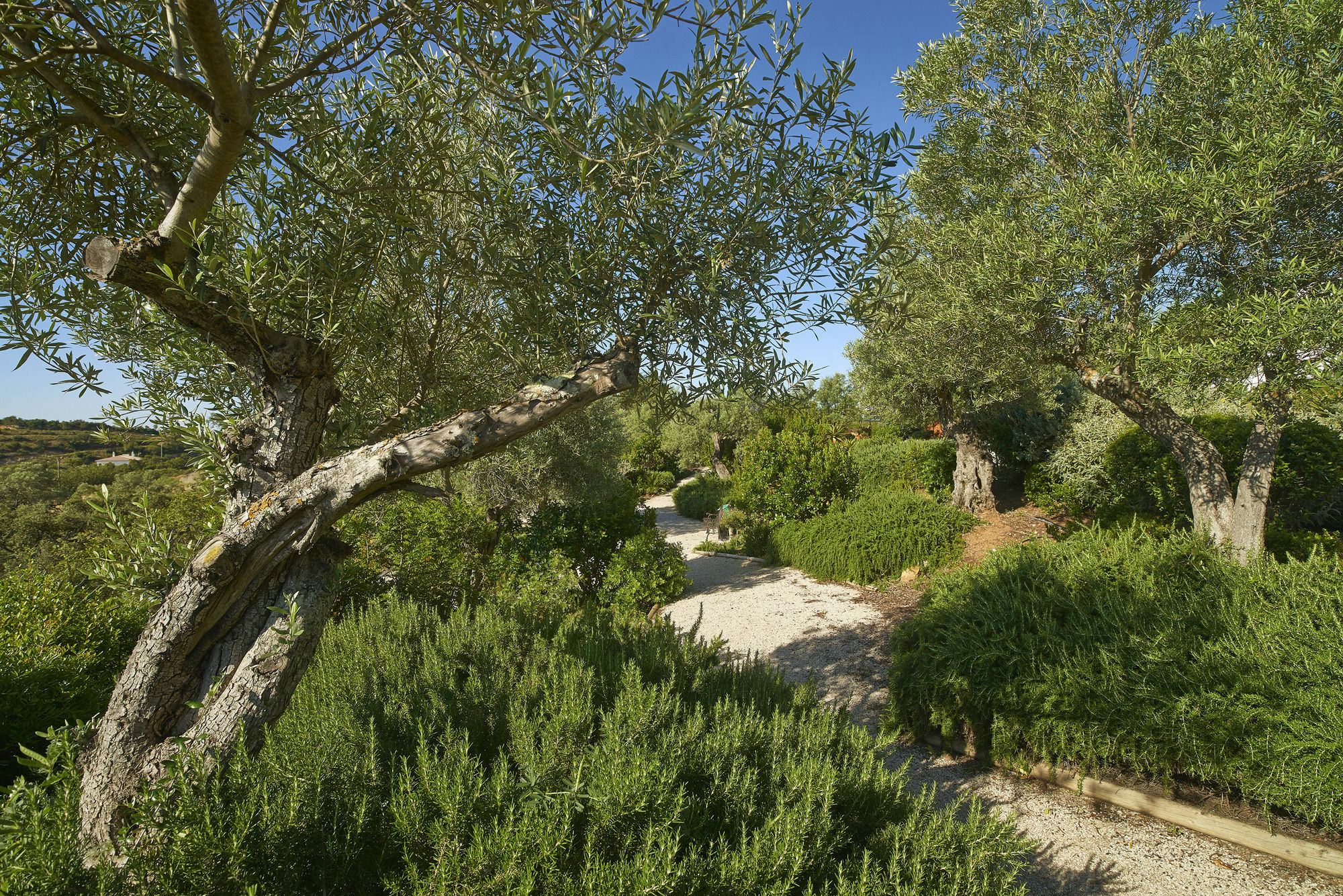 Rural Quinta Do Marco - Nature & Dining Hotel 4*