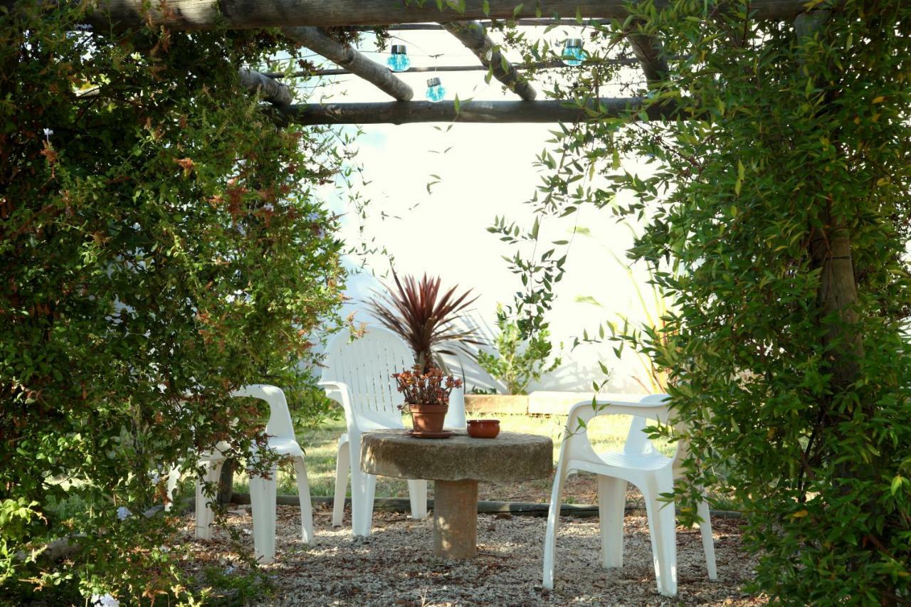 Guest house Quinta Do Rio Country Silves