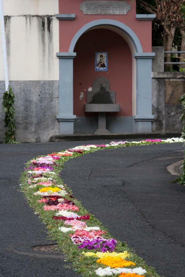 Antonella Funchal