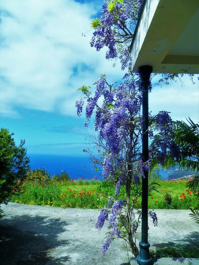 Quinta Do Cabouco Guest house