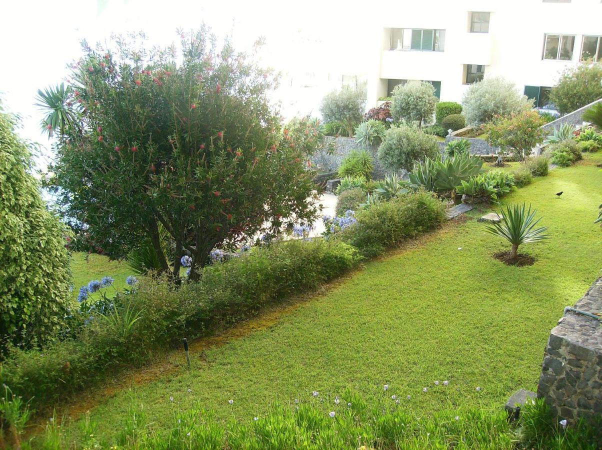 Apartamento Oceanfront