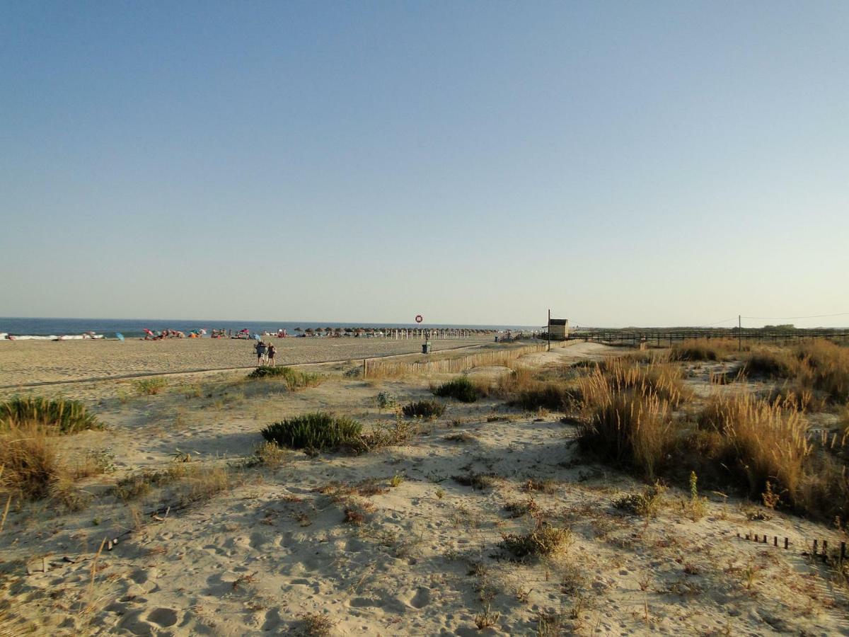 Perola Do Oceano