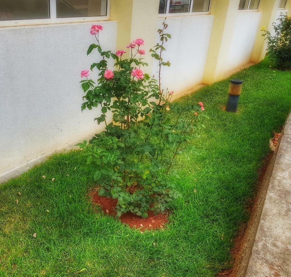 Apartamento Falesia - Reis Magos