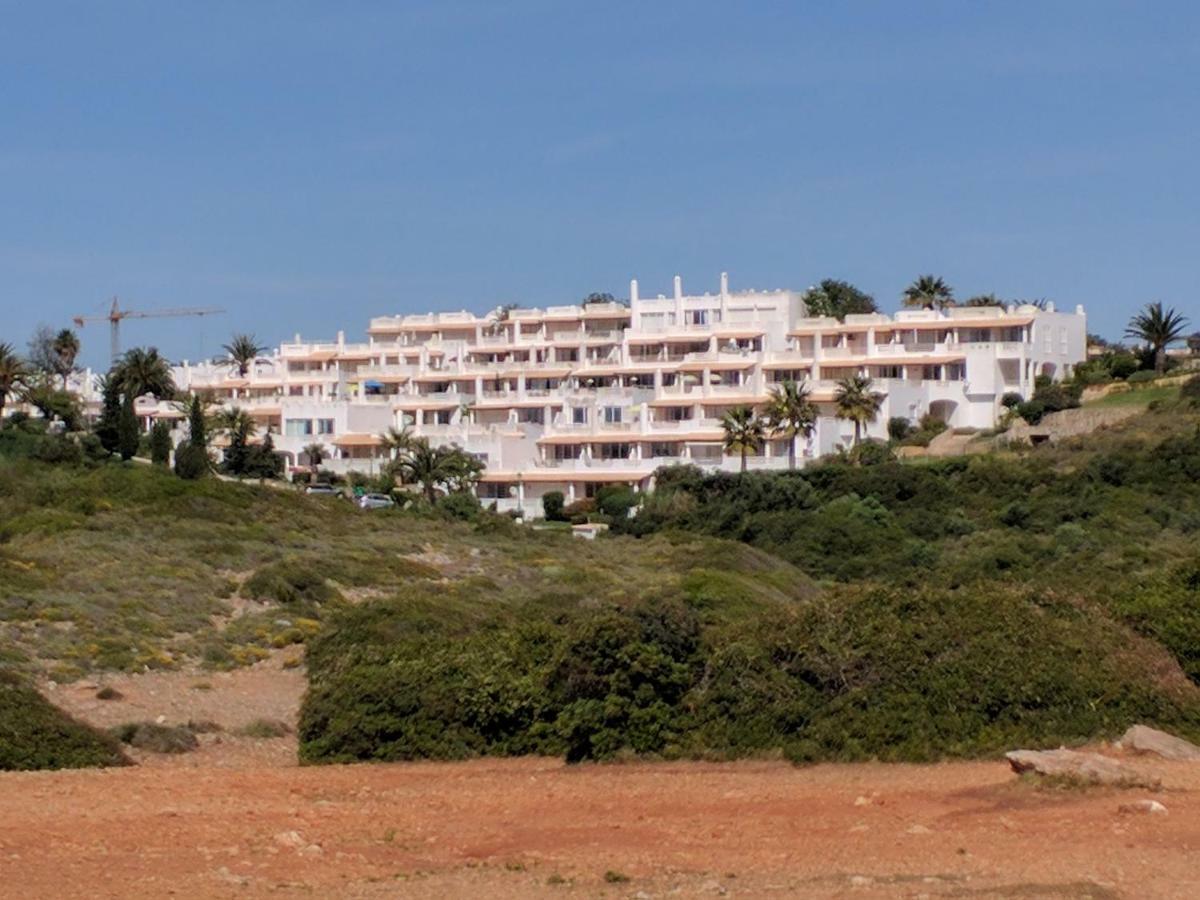 Gaivota Mare Azur