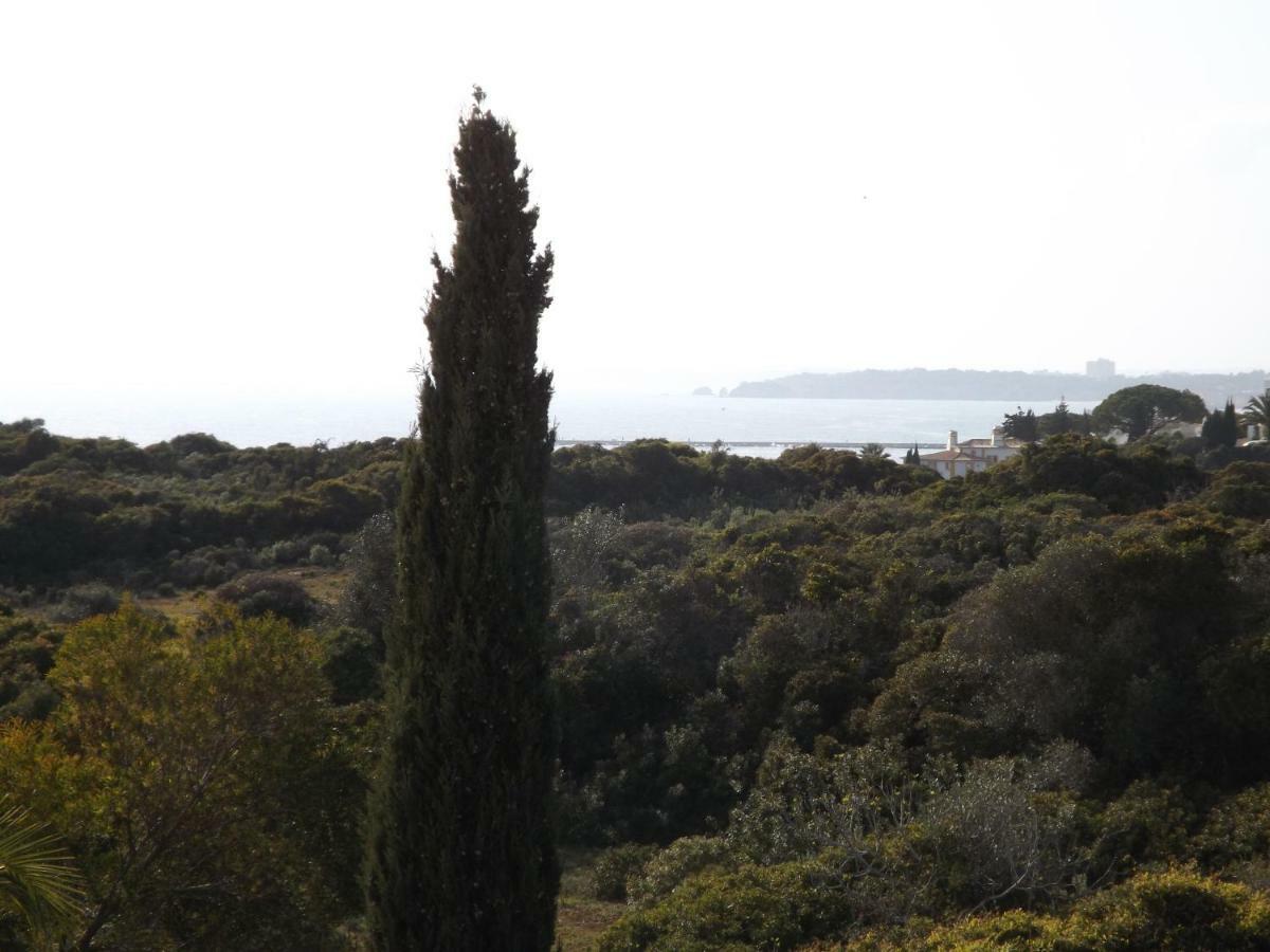 Apartment Gaivota Mare Azur *