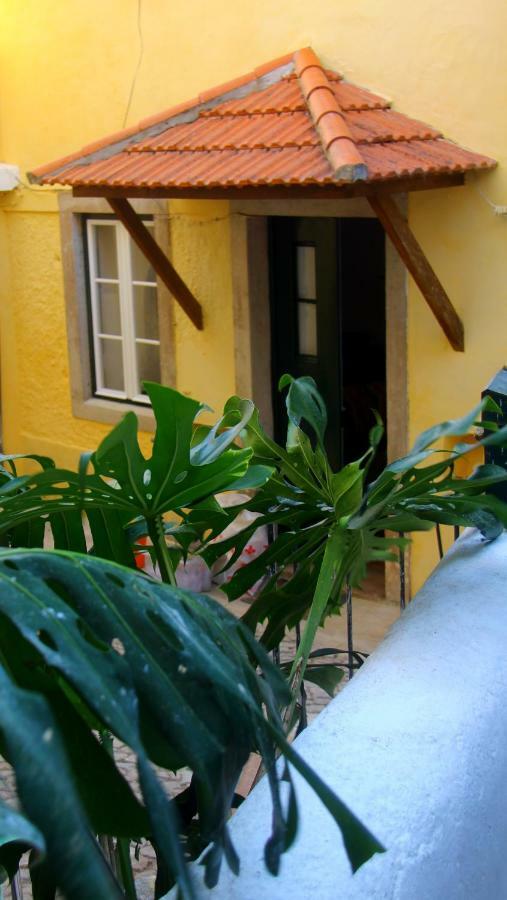 Casas Do Patio Sem Cantigas 4