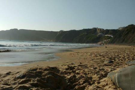 Cegonha Do Mar
