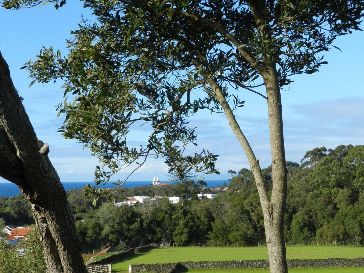 Vale Dos Milhafres Holiday home *