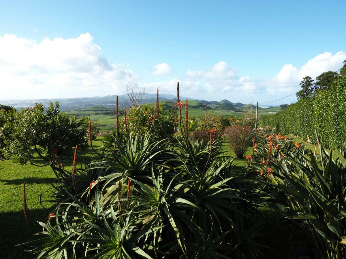 Flor Do Monte Holiday home *