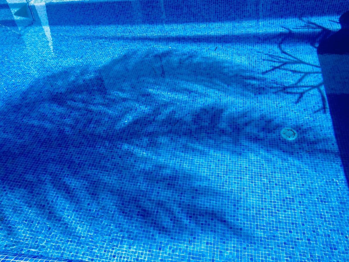Villa Abrigo Da Madeira *