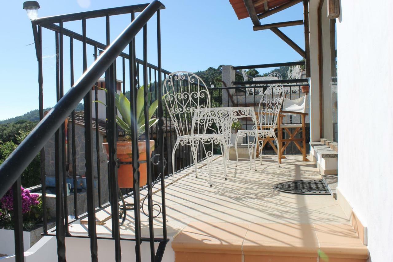 Farm stay Horta Do Ze Miguel