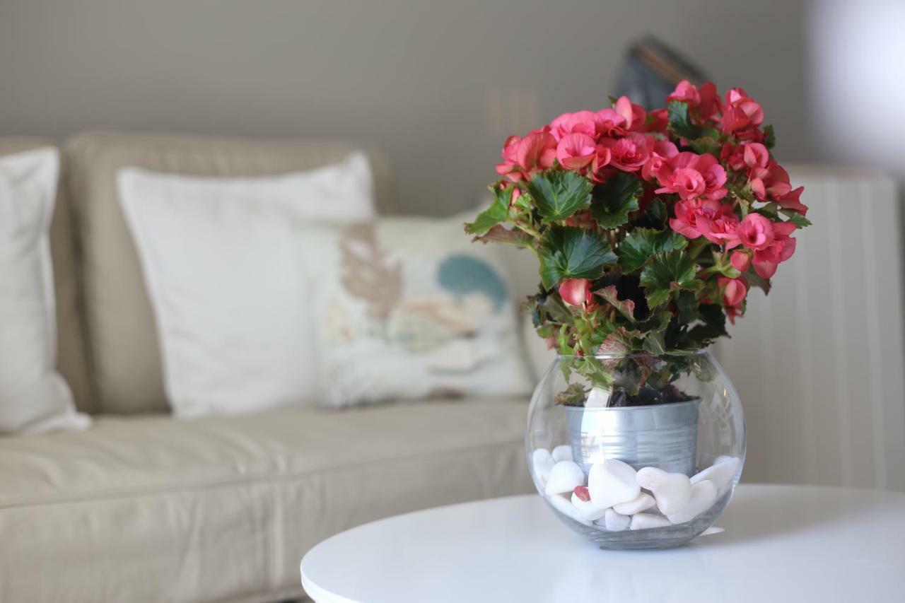 Sea Shell Apartment