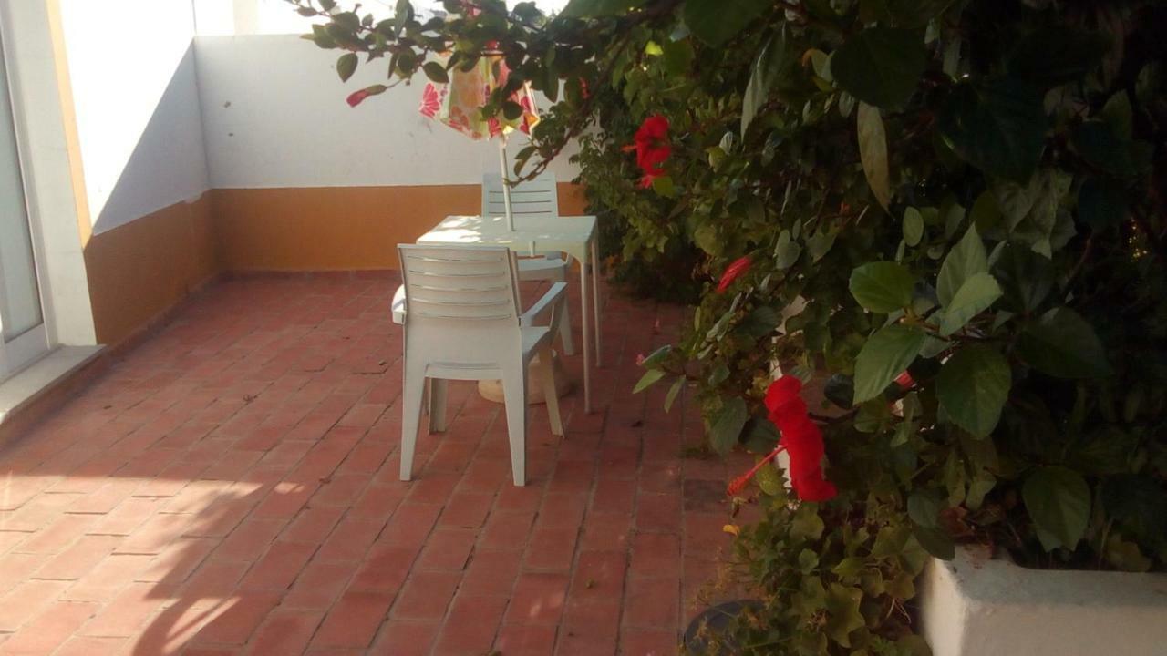 Casa Da Osga *
