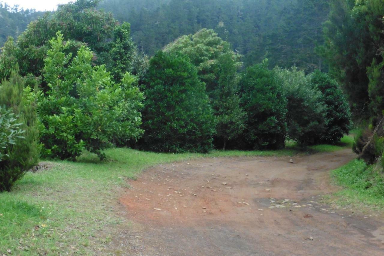 Villa Calaca Funchal (Madeira)