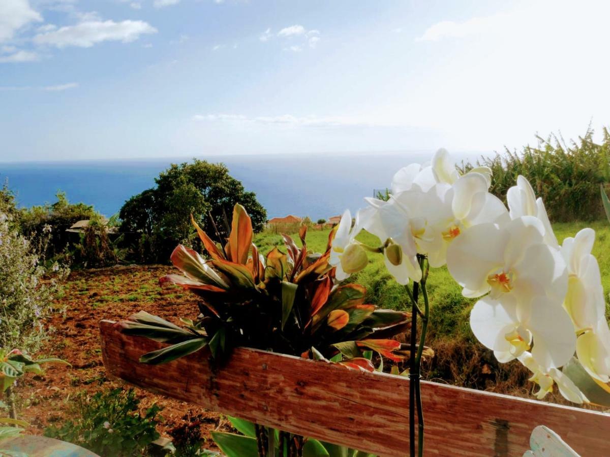 Holiday home Casas Serenas Estreito Da Calheta