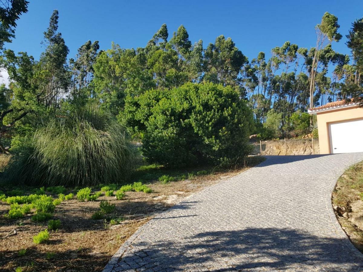 Luar Do Cano Villa Monchique