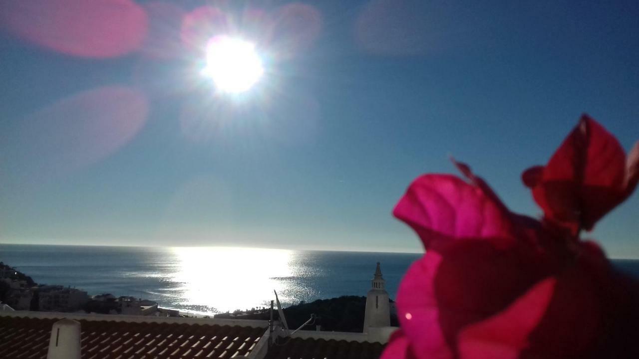 Docevida # Ocean View Apartment *
