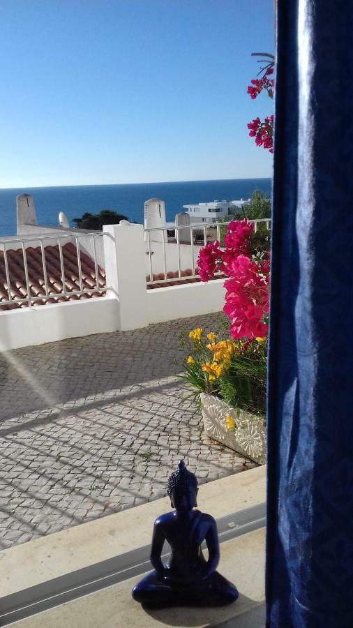 Docevida # Ocean View