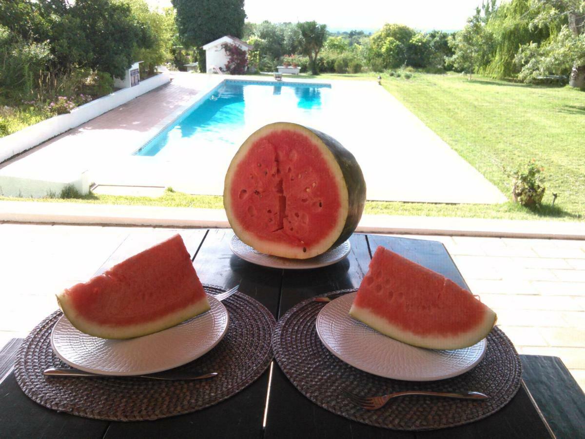 Holiday home Monte Da Cardela Nova